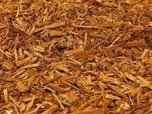 Ayahuasca Pack For 1: Standard - Psychedelic Retail Outlet